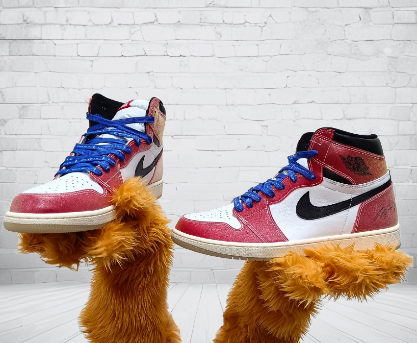 Jordan 1 Retro High OG SP 'Chicago' Friends & Family X Trophy Room Ticino Svizzera