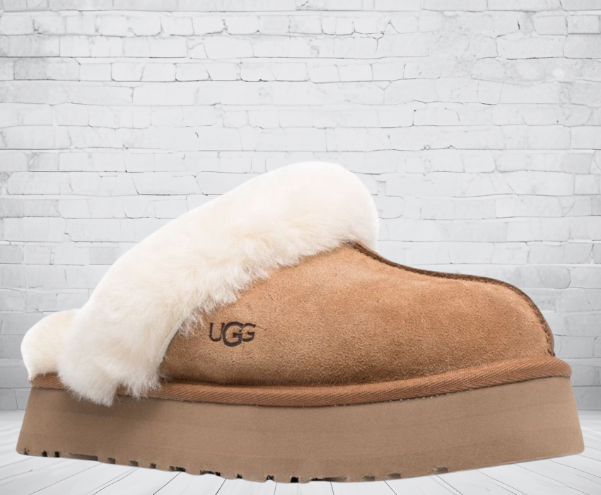UGG Disquette Slipper Ticino Svizzera