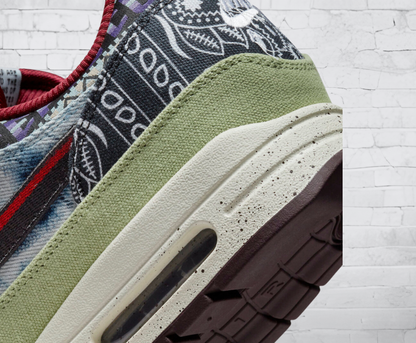 Nike Air Max 1 SP Concepts Mellow