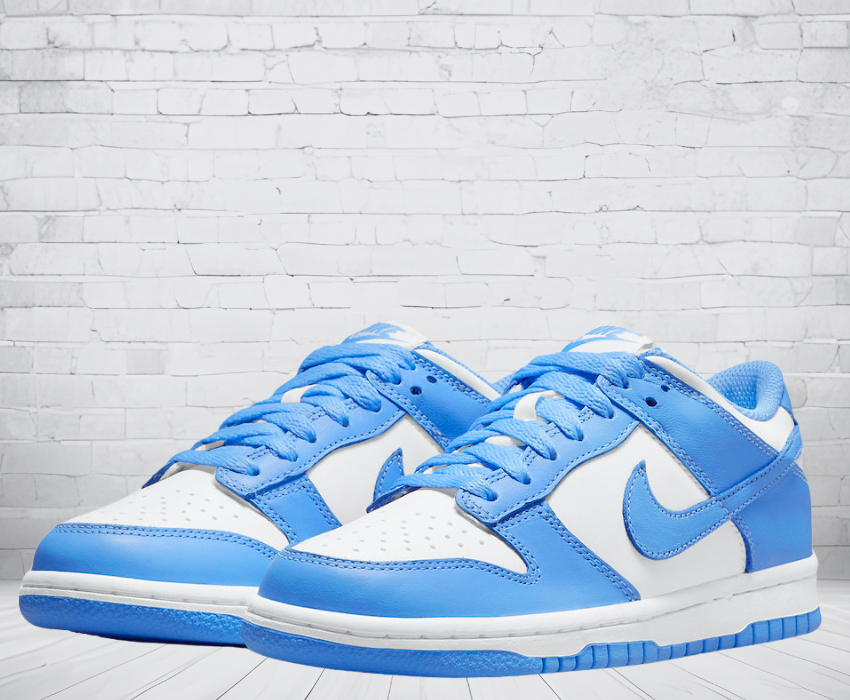 Nike Dunk Low "UNC"